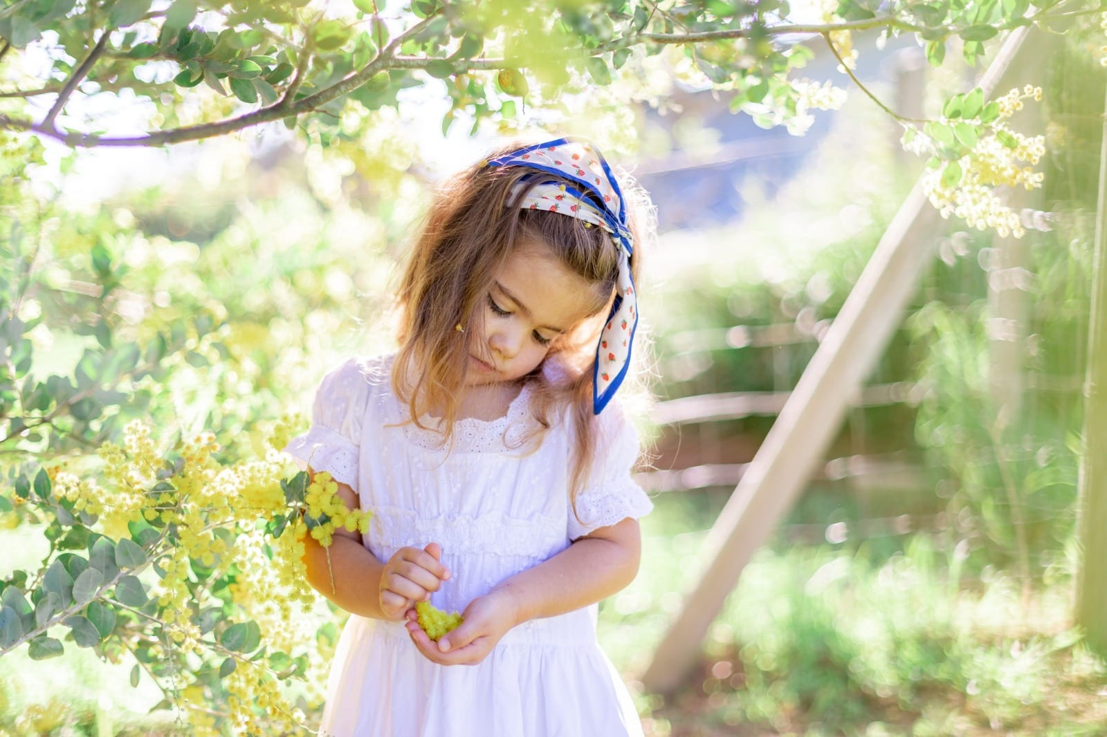 Alicia S Photography photo